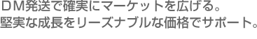 DM発送で確実にマーケットに広げる。堅実な成長をリーズナブルな価格でサポート。